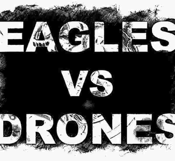 eagles vs drones, logo, new metal bands, rock, metal